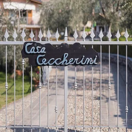 Ceccherini Rosa-viola *