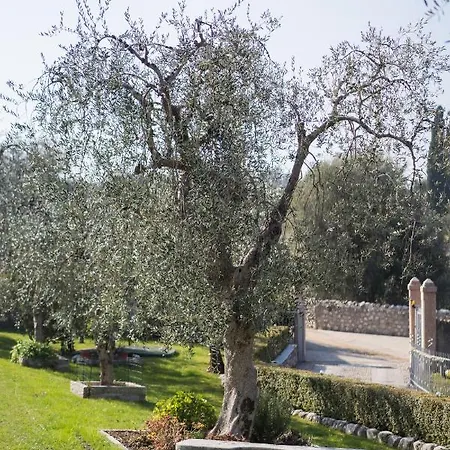 Ceccherini Rosa-viola Holiday home *